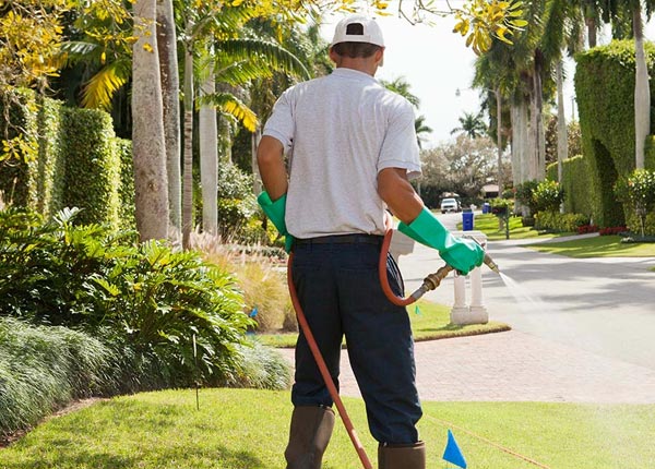About Elgin NE Pest Control